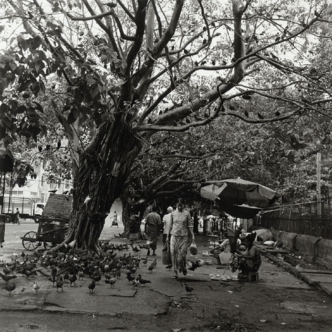 05B035-08.jpg
