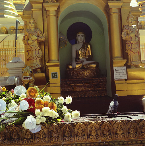 05CB014-11.jpg