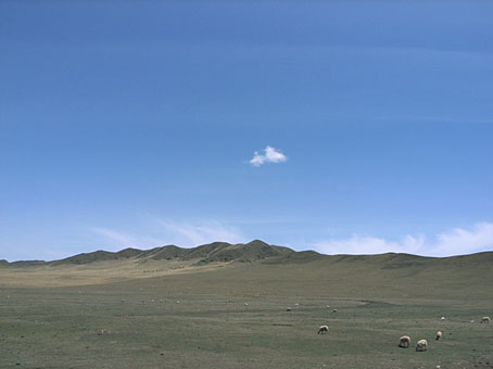 2007GRD0506-03.jpg