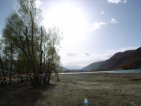 2007grd0429-23.jpg