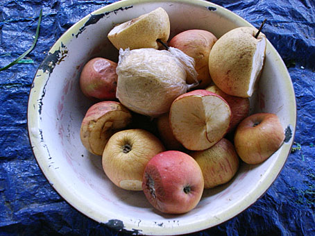 2007grd0429-25.jpg