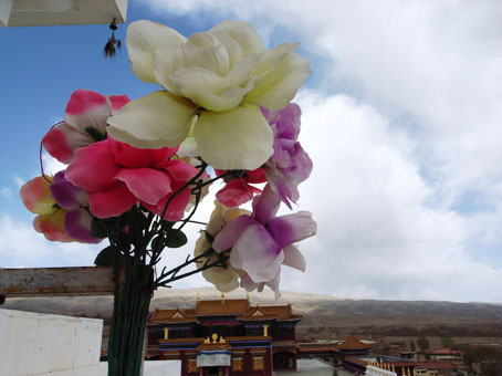 2007grd0501-26.JPG