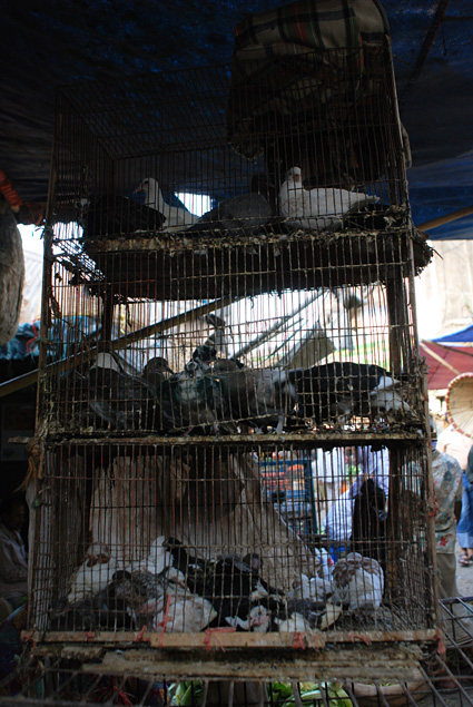 Chittagong-0818.jpg