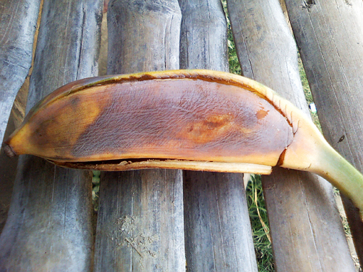 R2N-Banana-206.jpg