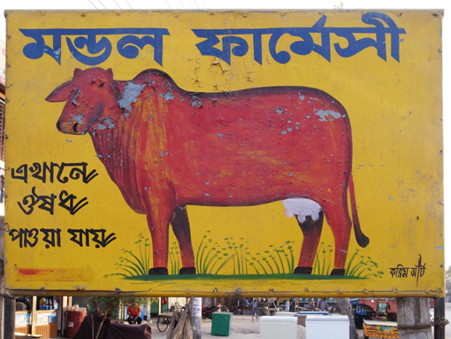 R2N-Kushtia-R0128996.jpg
