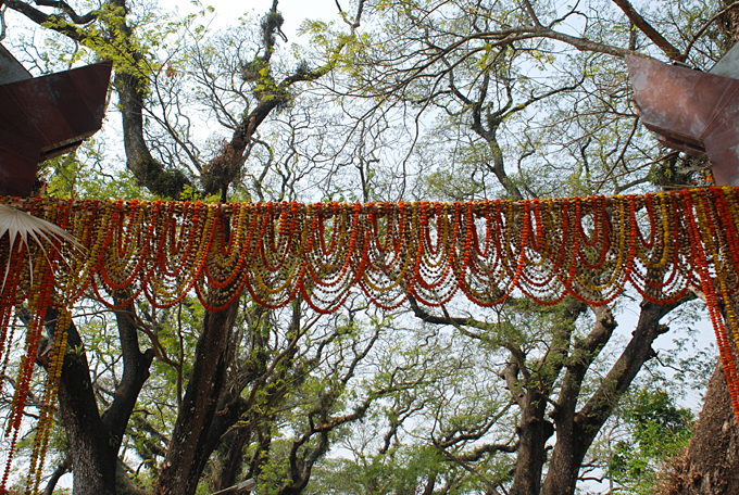 haridaspur-2563.jpg